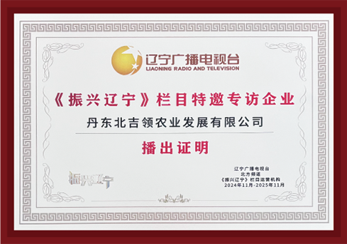 Special Interview with Enterprises Invited by the "Revitalizing Liaoning" Column