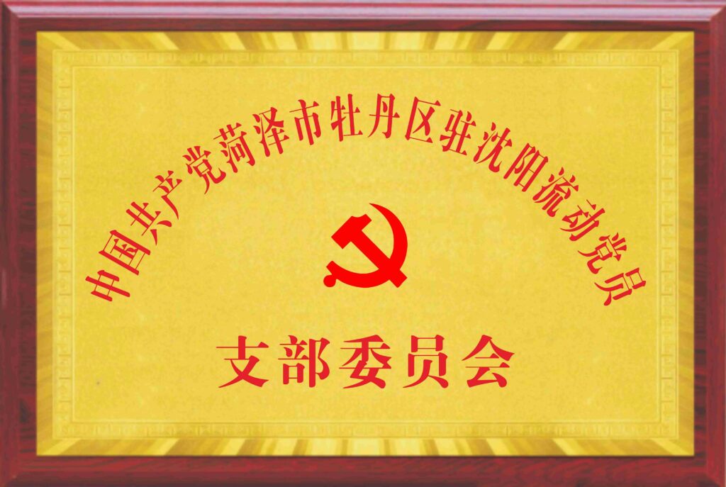 Heze City Mudan District Migrant Party Members Branch Committee in Shenyang